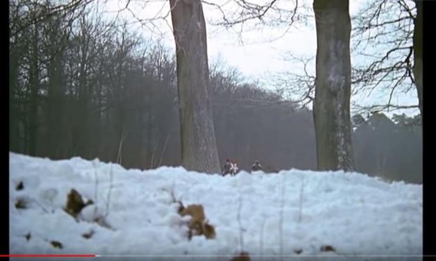 Quelle: rbb/YouTube Quelle: rbb/YouTube