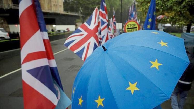 Ein Demonstrant zeigt seine Ablehnung gegen den Brexit vor dem britischen Parlament mit einem EU-Regenschirm. 