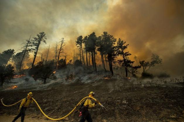 Mehr als 3000 Feuerwehrleute versuchen, den Waldbrand zu bremsen. Foto: dpa/Noah Berger/AP