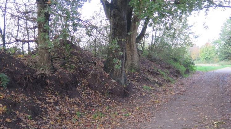 Durch Erdarbeiten sind an der Heidloge in Wildeshausen Baumwurzeln freigelegt worden. Die Polizei hofft auf Zeugenhinweise aus der Bevölkerung. Foto: Polizei Durch Erdarbeiten sind an der Heidloge in Wildeshausen Baumwurzeln freigelegt worden. Die Polizei hofft auf Zeugenhinweise aus der Bevölkerung. Foto: Polizei