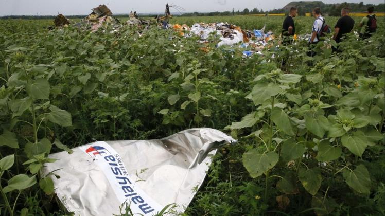 Donetsk: Das Passagierflugzeug mit der Flugnummer MH17 war mit 283 Passagieren und 15 Crewmitgliedern an Bord abgestürzt. Foto: dpa/Zurab Dzhavakhadze