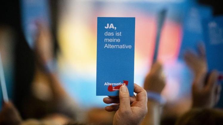 Die AfD in Sachsen hatte ihre Wahlliste für die Landtagswahl in zwei Sitzungen zusammengestellt - das ist unzulässig, befand die Wahlleiterin. Foto: dpa