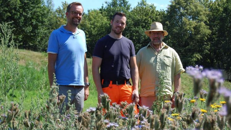 Marcus Hensing, Nils Kramer und Eberhard Eckert (von links) sind begeistert von dem Blühstreifen am Belmer Ententeich. Foto: Hendrik Steinkuhl