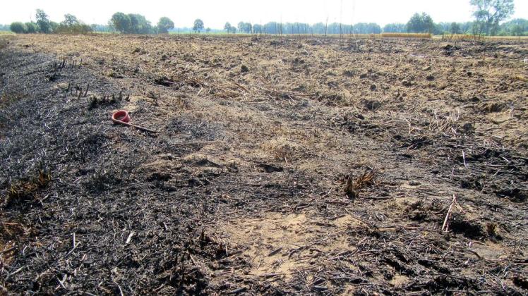 Verbrannte Erde - gleich vier Mal gab es innerhalb von drei Tagen brennende Getreidefelder in der Nachbarschaft zum Altkreis Wittlage. Foto: Gertrud Premke