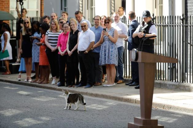 Larry ist quasi das Maskottchen von 10 Downing Street geworden. Hier wartete er mit den Mitarbeitern (und Carry Symonds links in Schwarz) auf die Ankunft des neuen Premierminister. Foto: AFP/Tolga AKMEN