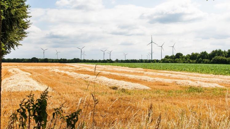 Der Windpark in Lünne: Geplant ist eine Reduzierung der Anlagen bei gleichzeitiger Erhöhung der Leistung. Foto: Richard Heskamp