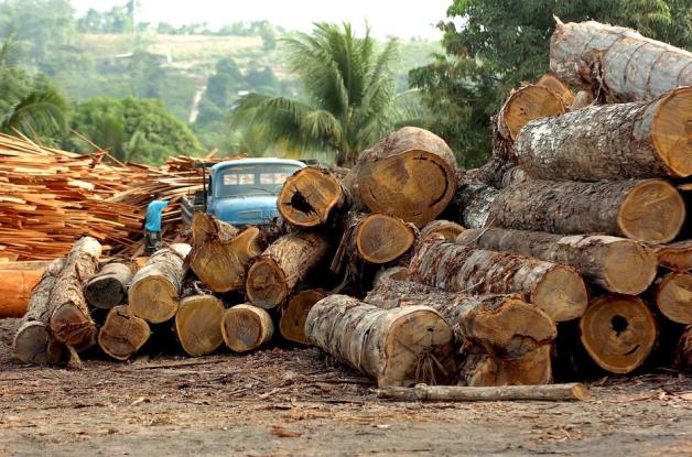 Die Rodung des Regenwaldes in Brasilien schreitet immer schneller voran.Umweltschützer warnen: Die "Lunge der Welt" stirbt - und mit ihr die Lebensräume der Ureinwohner. Foto: Marcelo Sayao/EFE/dpa Die Rodung des Regenwaldes in Brasilien schreitet immer schneller voran.Umweltschützer warnen: Die "Lunge der Welt" stirbt - und mit ihr die Lebensräume der Ureinwohner. Foto: Marcelo Sayao/EFE/dpa