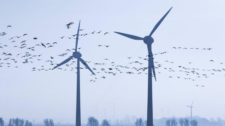 Klimaschutz gegen Naturschutz: Wie gefährlich sind Windräder für Vögel? Foto: imago images/Jochen Tack