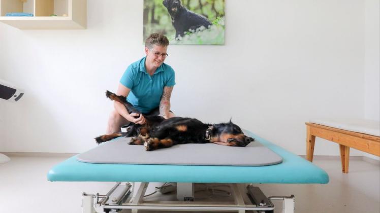 Entspannt genießt Hund Grisu, wie Romana Schallenberg sein Bein bewegt. Nur, wenn ihm eine Bewegung nicht gefällt, reißt er den Kopf hoch. Foto: Jörn Martens