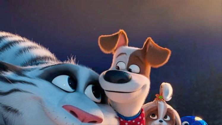 Hu, Max, Daisy und Snowball erleben in „Pets 2“ aufregende Abenteuer. 