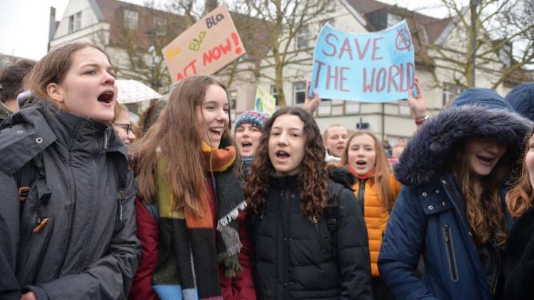 Auch in Lingen demonstrierten Schüler schon für den Klimaschutz. Foto: Wilfried Roggendorf