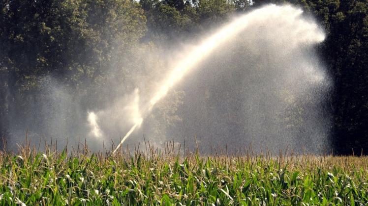 Für die Feldberegnung, beziehungsweise die Entnahme des dafür notwendigen Wassers, sind Wasserrechte notwendig. Die Zahl der Anträge darauf ist stark gestiegen. Foto: dpa