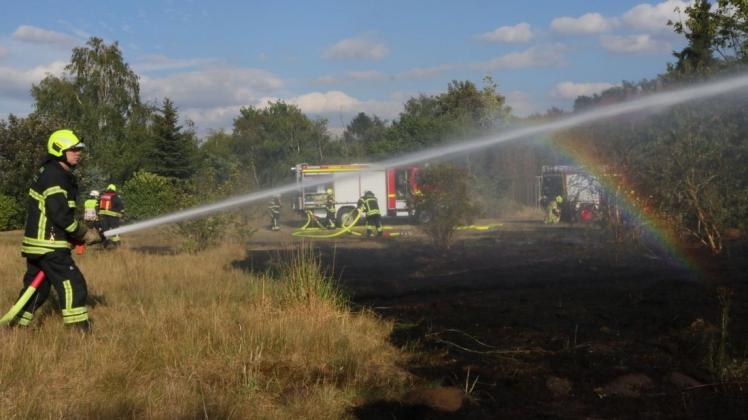Feuerwehrleute löschten einen Flächenbrand in Eversburg. Foto: NWM-TV