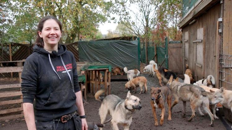 Hundetrainerin Vanessa Bokr lebt und arbeitet mit 50 Hunden auf einem Hof bei Bispingen. Fast alle haben schon Menschen oder Tiere angegriffen. Hier sollen sie resozialisiert und an geeignete neue Halter vermittelt werden. Foto: NDR/Thomas Karp