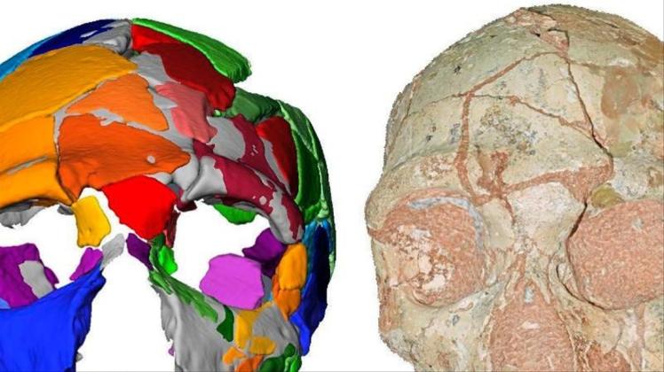 Der analysierte Schädel eines modernen Menschen stammt vom Fundort Apidima in Südgriechenland. 