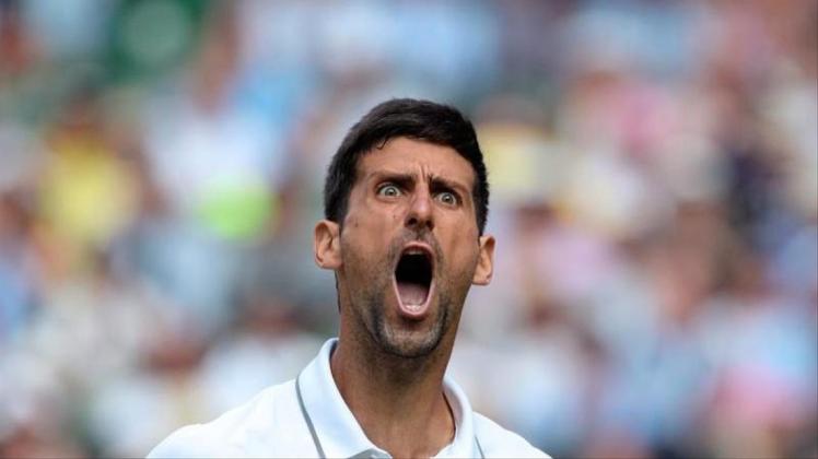 Zieht mit einem triumphierenden Schrei ins Finale von Wimbledon ein: Novak Djokovic. 