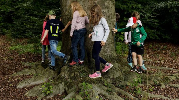 Nicht der Plumpsack, sondern die Kinder gingen bei der Ferienpass-Aktion „Ab in den Wald“ um den Baum herum. Foto: David Ebener