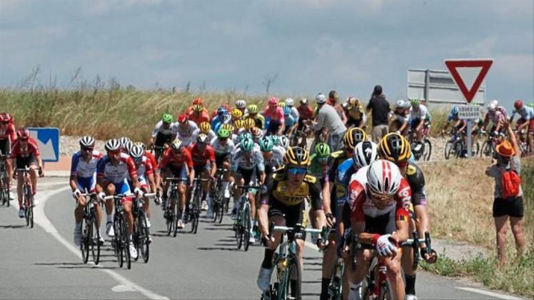 Das Feld auf der 10. Etappe der Tour de France. 