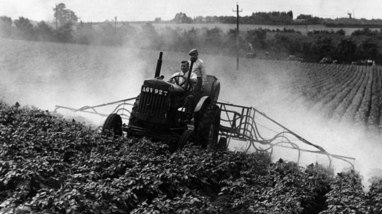 Früher war der Umgang mit Pestiziden ein anderer. Das Bild stammt aus dem Jahr 1948 von einem englischen Kartoffelfeld. Foto: imago/United Archives International