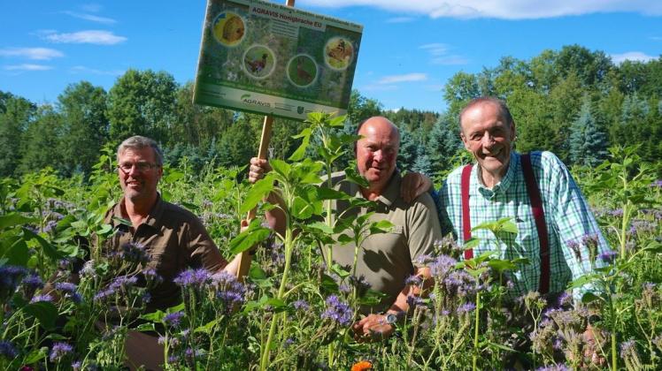 Die von den Jägern angelegten Blühflächen sind mit Infotafeln gekennzeichnet. Über die sich immer wieder verändernde Blütenpracht freuen sich neben tausenden von Insekten auch (von links) die Hagener Waidmänner Josef Lintker, Carsten Berner und Werner Witte. Foto: Carolin Hlawatsch