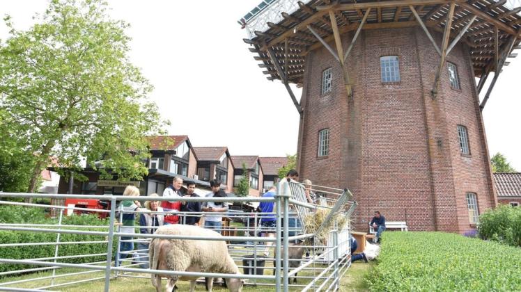 Viele Besucher kamen am Pfingstmontag auf dem Mühlenmarkt vor Meyers Mühle in Papenburg. Foto: Anna Heidtmann