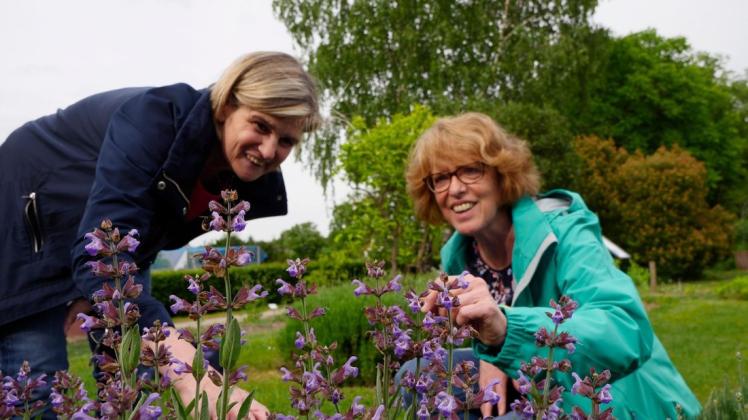Ein Einblick in die Welt der Heilpflanzen: Claudia Grabowski-Hüsing (li.) und Gudrun Eschmann verraten, welche Arten sich in der heimischen Küche nutzen lassen - darunter Salbei. Foto: Antonia Wahmhoff