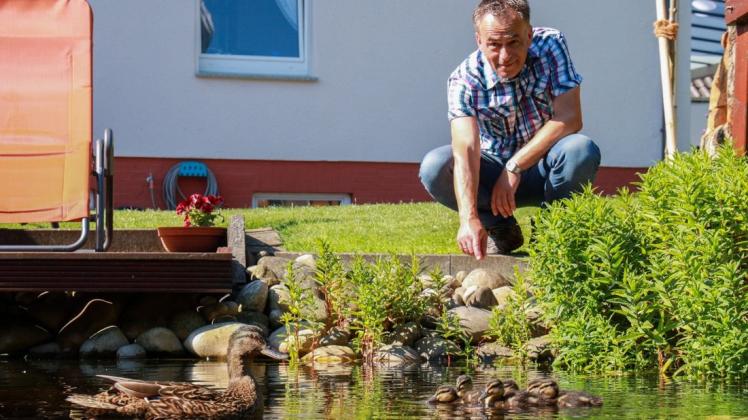 Dieser Gartenteich in Osnabrück wird immer wieder zur