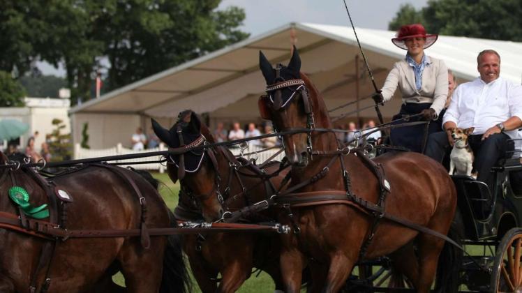 Anna Sandmann (roter Hut, hier bei den 12. Lähdener Pferdetagen 2018) feiert bei ihren ersten Deutschen Meisterschaften der Vierspänner die Bronzemedaille. Foto: Henning Harlacher