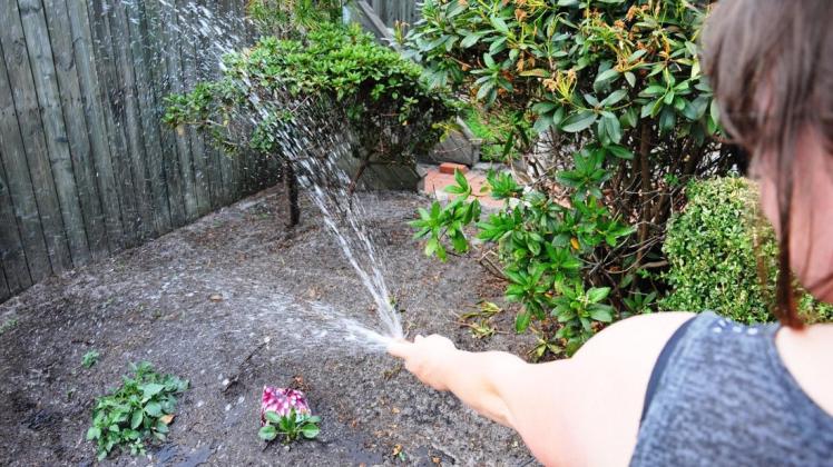 Muss der heimische Garten wirklich mit einem Wasserschlauch aus dem Leitungsnetz bewässert werden oder ist nicht eine Gießkanne, idealerweise aus einer Regenwassertonne, besser? Foto: Christoph Assies/Archiv