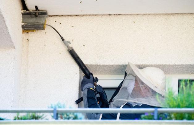 Ein Schädlingsbekämpfer behandelt mit Insektiziden ein Wespennest auf einen Balkon. Foto: dpa/Julian Stratenschulte