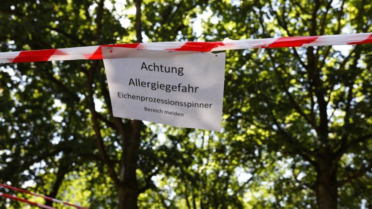 Abgesperrter Bereich aufgrund von Eichenprozessionsspinner beim Schulzentrum am Sonnenhügel in Osnabrück. Foto: Michael Gründel