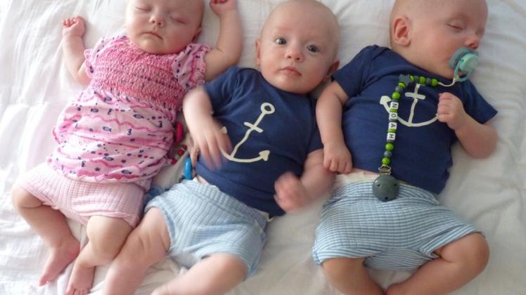 Drei niedliche Wonneproppen: Emma, Theo und Noah entwickeln sich prächtig. Mittlerweile bringt es das Mädchen auf 5600 Gramm, Brüderchen Theo wiegt 5800 Gramm und das Nesthäkchen Noah (rechts) ist 5200 Gramm schwer. Jede Woche nehmen die Babys rund 200 Gramm zu. Foto: Frank Klausmeyer