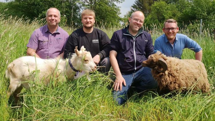 Lokaltermin mit Ziege und Schaf: Thilo Richter (rechts) und Klaus Lichy (links) vom Umweltbüro ließen sich von Kai Behncke (2.von rechts) und Klaus Wachsmuth vom Gnadenhof Brödel über den Sachstand informieren. 