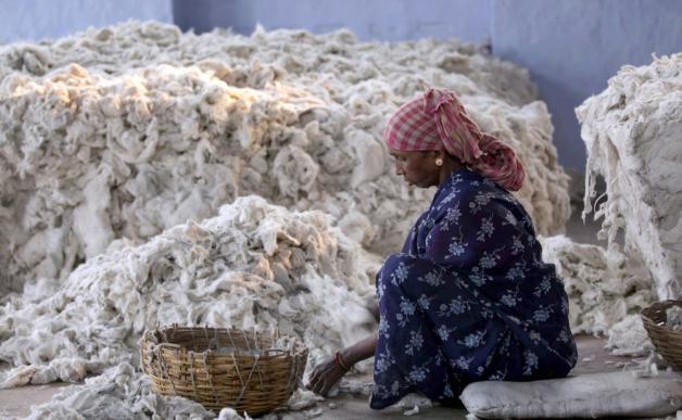 Eine Frau in Indien sortiert Baumwolle. 