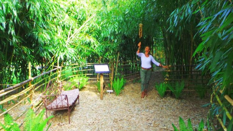 Im Garten von Maria Kudella in Nortrup ist ein Bambuswaldweg entstanden. 