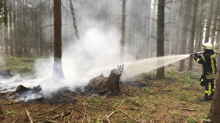 An der Nordradde in Spahnahrrenstätte ist es am Samstag  zu einem Waldbrand gekommen. Foto: SG Sögel/Feuerwehr