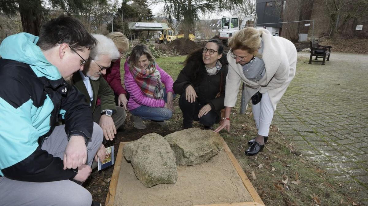 Botanischer Garten der Uni Osnabrück stellt am Eingang NOZ