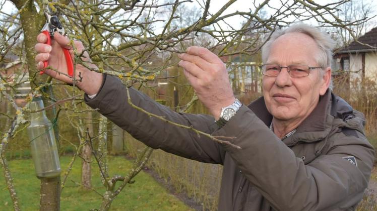 Fachberater Günter Prösch vom Bezirksverband der Gartenfreunde Delmenhorst und Umgebung erklärt, worauf man beim Obstbaumschnitt achten sollte. Foto: Christopher Bredow