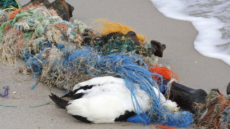 Jedes Jahr gelangen Schätzungen zufolge mehr als sechs Millionen Tonnen Müll in die Meere.
