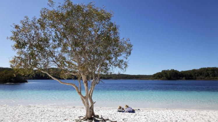 Der Lake McKenzie gehört zu den größten Attraktionen auf Fraser Island. Foto: imago/imageBROKER/Norbert Probst