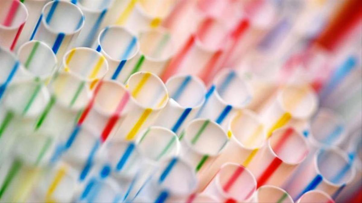 Plastik ade Was bedeutet der Abschied vom NOZ