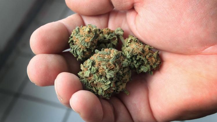 Ein 20-jähriger Wildeshauser musste sich wegen Cannabis-Vergehen vor dem Jugendgericht verantworten. Symbolfoto: dpa