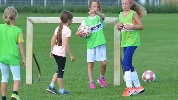Kleine Tore und kein fester Torwart: Der Kinderfußball steht vor einer Reform. Foto: Daniel Niebuhr