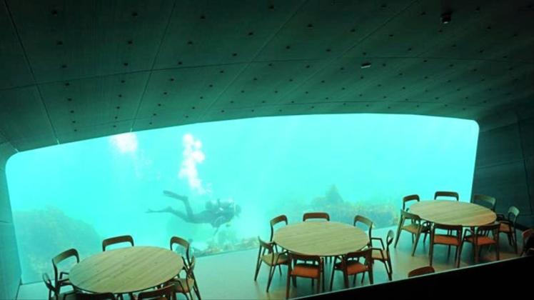 4b4d32c35a2c78e6d94d86785dc07c61.jpeg Ein Taucher schwimmt an einem Fenster des Unterwasser-Restaurants „Under“ vorbei.