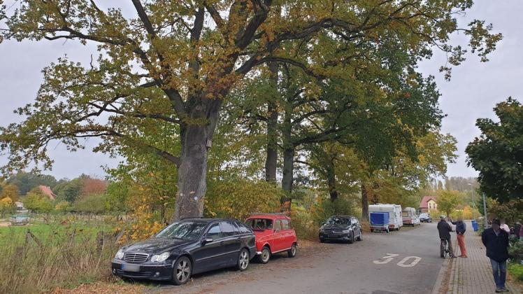 Am Donnerstag haben Anwohner am Hunteburger Weg in Osnabrück das Fällen zweier alter Eichen verhindert. Kurzerhand parkten sie ihre Autos unter den Bäumen.
