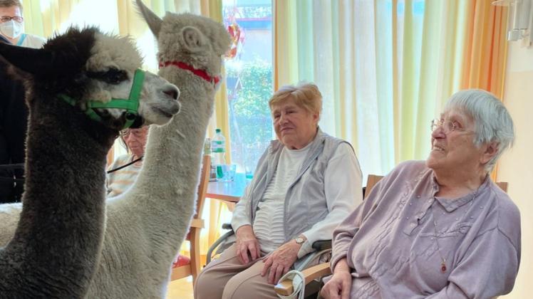 Tiergestütze Therapie mit „Sandro“ und „Whity“ im Seniorenzentrum Perleberg.
