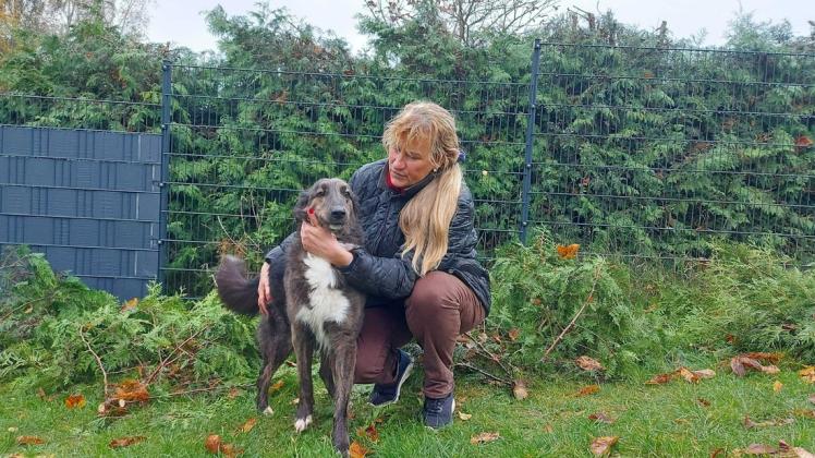 Die vierjährige Manja wurde von ihren ehemaligen Besitzern misshandelt. Nach einem Jahr bei den Mecklenburger Fundhunden und Kerstin Westhoff sucht Manja ein neues Zuhause.