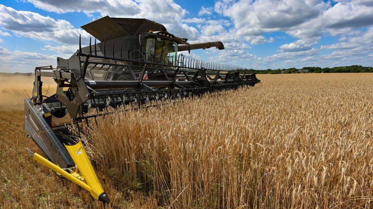 Landesforschungsanstalt für Landwirtschaft und Fischerei lädt | SVZ