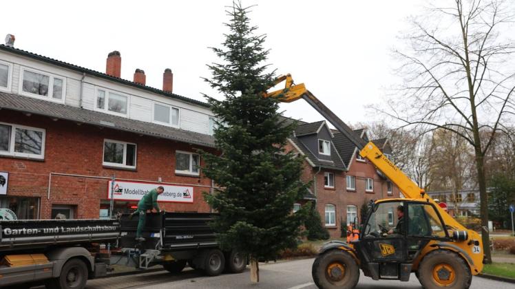 Daniel Ramcke brachte den Weihnachtsbaum mit schwerem Gerät in Position.