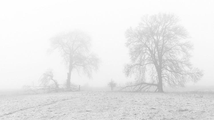 Dieses Treffen von Nebel und Schnee hat Franziska Kolm in der Nähe von Brahlstorf festgehalten.